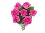 Lidl oferta od 19 maja 2014 - Kwiaty na Dzień Matki