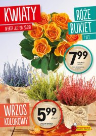 OD 25 września kupisz w Biedronce piękne cięte kwiaty i wrzosy.