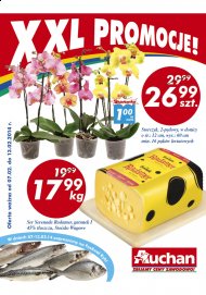 XXL promocje Gazetka Auchan kwiaty, walentynki, ryby, spożywcze promocje od 2014.02.07 do 13 luty