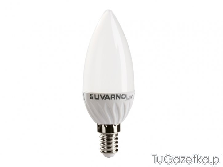 Żarówka LED GU5.3  E14 normalny gwint