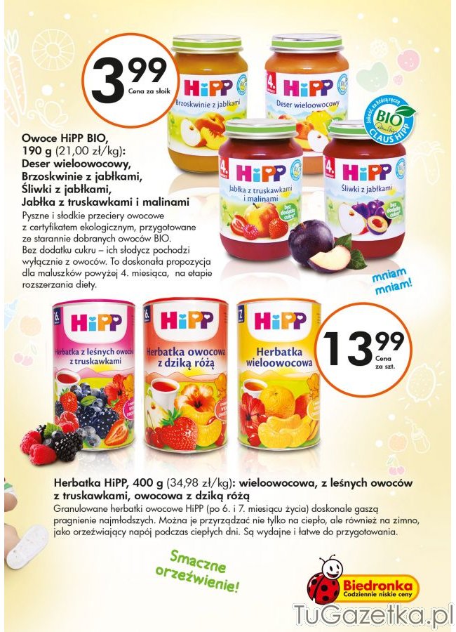 Owoce Hipp BIo herbatka dla dzieci