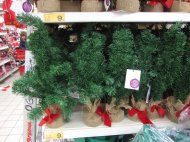 W ofercie Auchana znajdziemy małe choinki świąteczne idealne ...