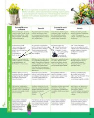 Kalendarz prac ogrodowych