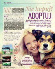 Nie kupuj - adoptuj. 4.10 obchodzimy Światowy Dzień Zwierząt ...