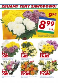 W Auchan za 9 zł chryzantemy wielokwiatowe 5 kwiatów w misie ...