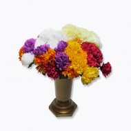 Chryzantema pojedyncza, 45 cm , cena 0,99 PLN za sztuka 
 kwiat ...