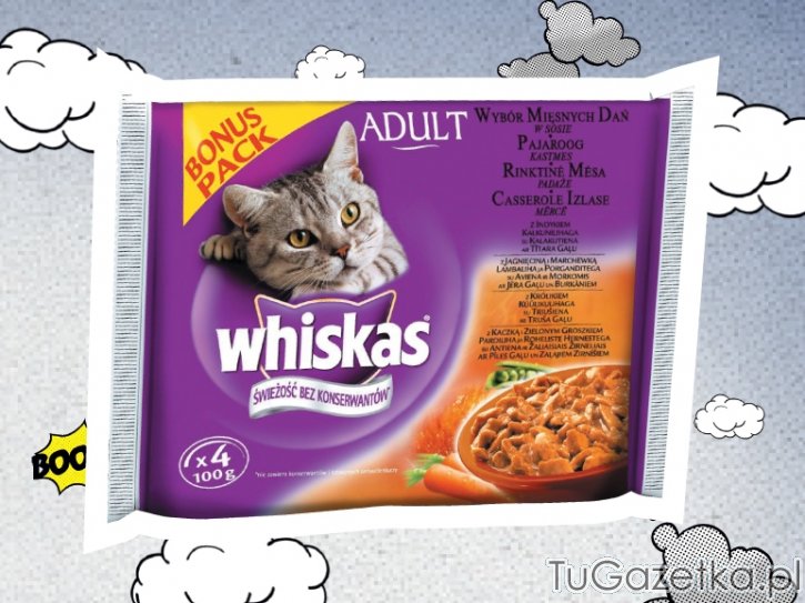 Whiskas karma pasza dla kota