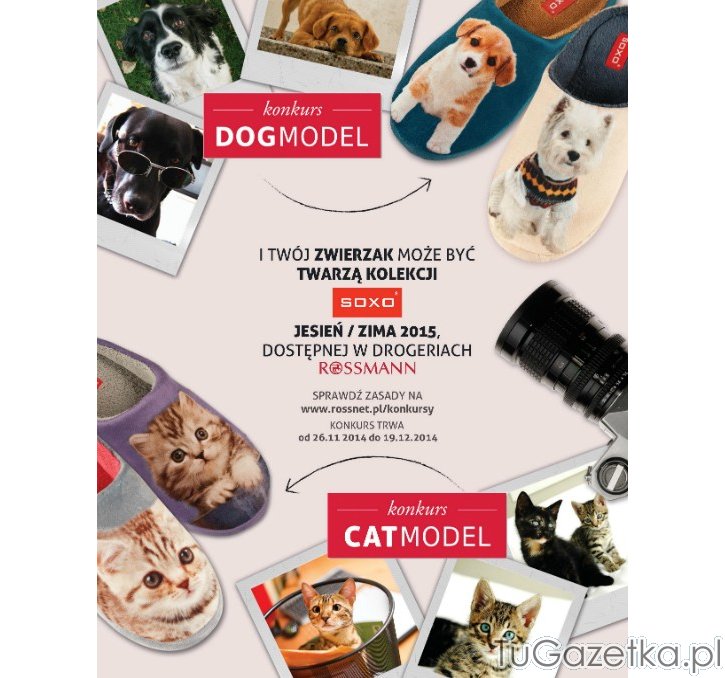 Konkurs DogModel