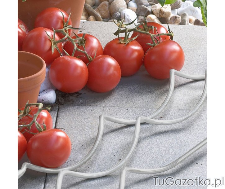 Podpórki do pomidorów roślin
