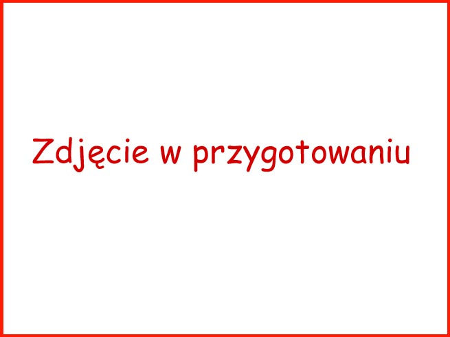 Bielizna Tchibo Gazetka promocje od 23 stycznia 2014 - Podkoszulki, majtki, biustonosz